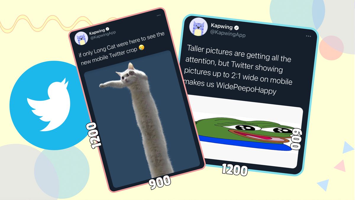 Twitter Crop Update: New Image Sizes for 2021